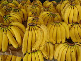 ATENCIÓN: Si eres fanático del plátano, acá tienen 10 cosas que seguro desconocías. 