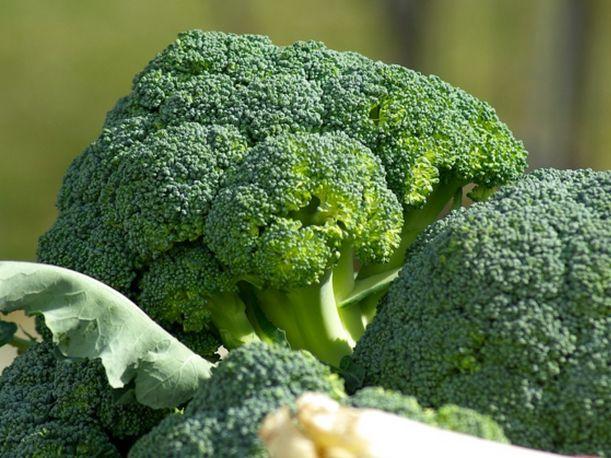 ATENCIÓN: Consumir brócoli ayuda a prevenir el cáncer y bajar el colesterol