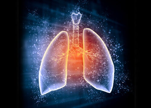 ATENCIÓN: Edema pulmonar, ¿cuáles son sus síntomas y causas?