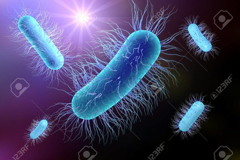 OJO: ¿Cómo se contagia Escherichia coli en orina?