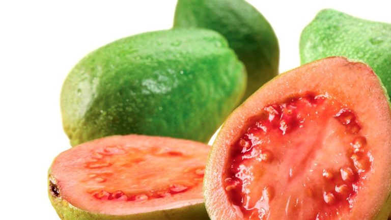 ATENCIÓN: Conoces el poder curativo que tienen las hojas de guayaba