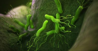 Eliminar de raíz la bacteria Helicobacter pylori naturalmente.