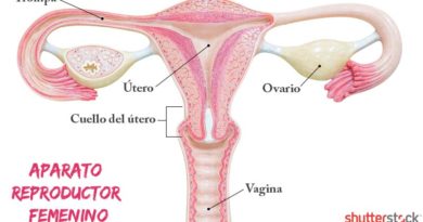 ATENCIÓN: Tipos de flujo vaginal, ¿cuáles son?
