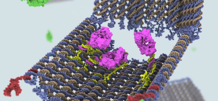 Nuevas opciones de tratamiento con nanotecnología para luchar contra los tumores