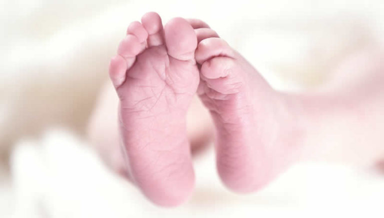Hallan proteínas clave para la maduración pulmonar y la supervivencia neonatal