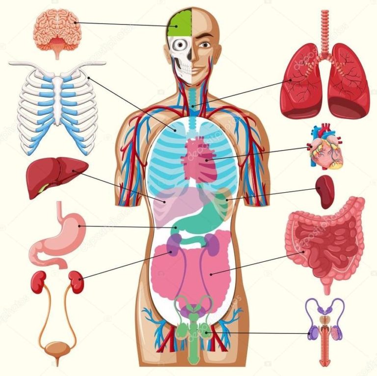 ATENCION: ¿Cuál es la situación real del cáncer en RD?