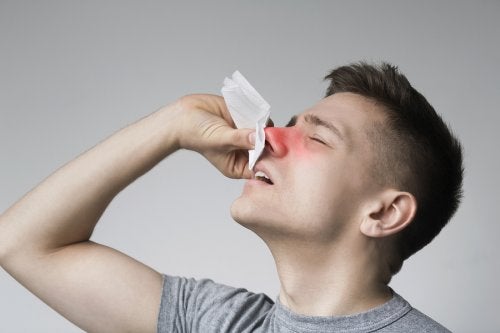 ATENCIÓN: Pólipos en la nariz: síntomas, causas y tratamiento