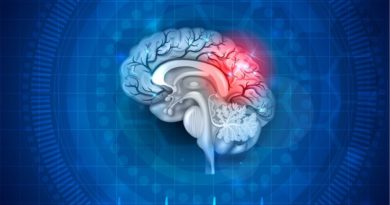 ¿Qué es la neuroplasticidad?