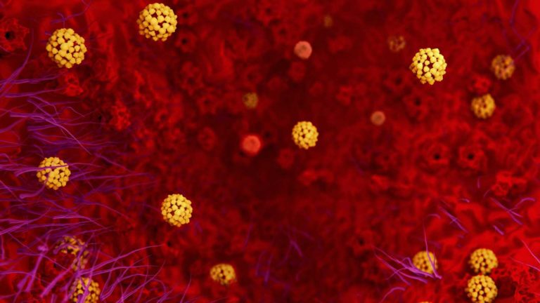 Se detectó un caso sospechoso de coronavirus en Paraguay