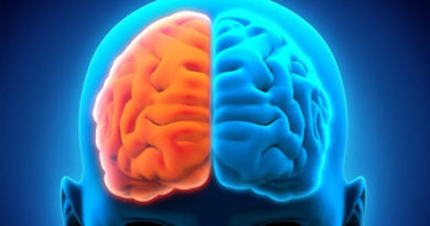 El cerebro y la mente