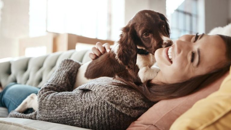 Riesgos que pueden sufrir las personas si tratan a mascotas