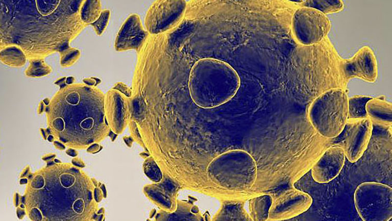 Un adolescente crea un sitio web sobre el nuevo coronavirus que se actualiza cada minuto y consigue millones de visitas
