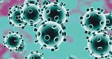 El coronavirus mató a otras diez personas en 24 horas
