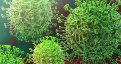 Coronavirus: ¿Sabes cuáles son las personas que tienen mayor riesgo?, Epidemióloga responde