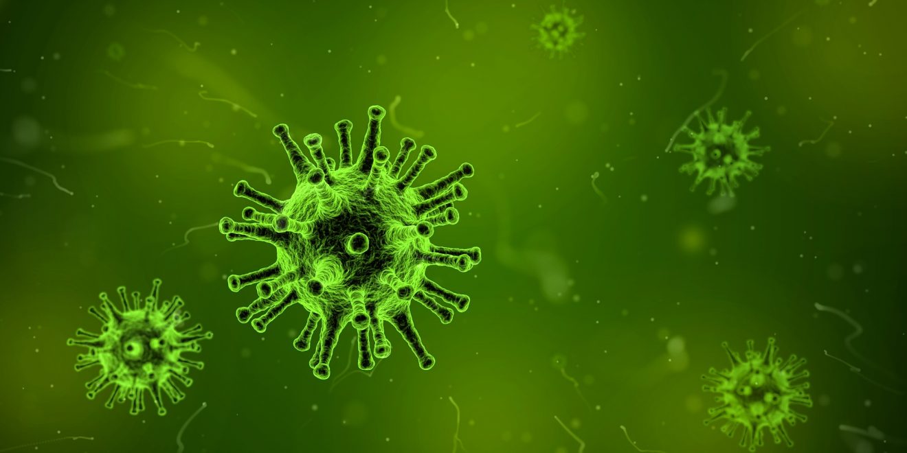 Proteína que parece capaz de impedir la acción infecciosa del nuevo coronavirus
