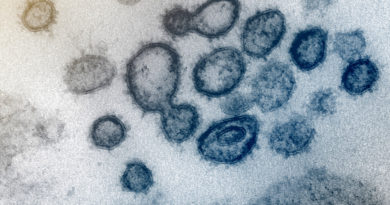 Cómo intenta el cuerpo humano salvarnos del nuevo coronavirus