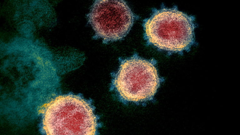 Científicos descubren que el nuevo coronavirus puede sobrevivir incluso a