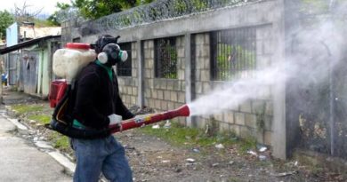 En medio del combate contra el COVID-19, los casos de dengue y malaria se disparan en República Dominicana