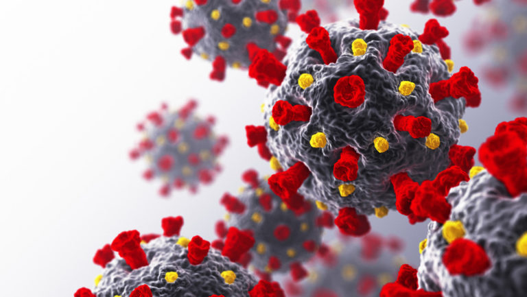 Descubren que una proteína que ayuda a combatir virus también puede bloquear la reparación de los pulmones