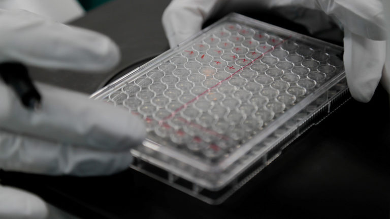 La OMS descarta una vacuna contra el coronavirus en 2020