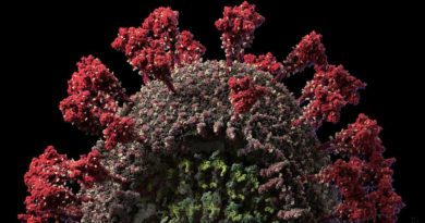Un estudio concluye que la mutación del coronavirus multiplica sus 'espigas' y lo vuelve más infeccioso