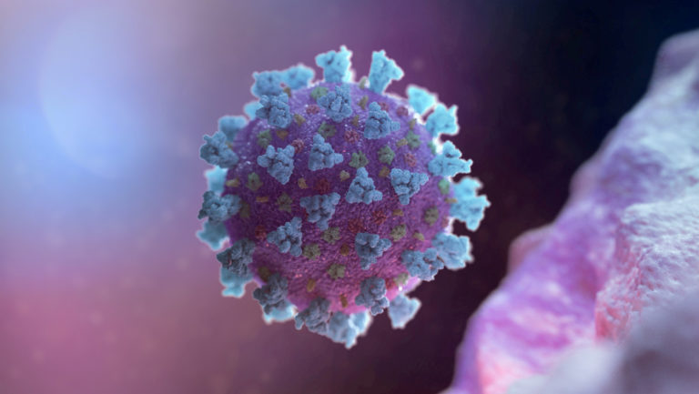 Un estudio revela que el coronavirus genera tentáculos "siniestros" en las células (pero hay una buena noticia)