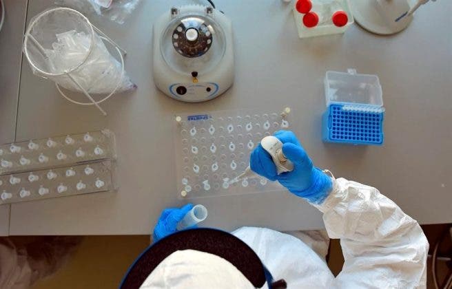 En República Dominicana se han procesado más de 100 mil pruebas PCR