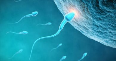 La influencia de la alimentación en el esperma