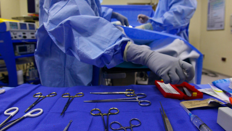 Consiguen recuperar pulmones humanos dañados tras conectarlos a cerdos vivos
