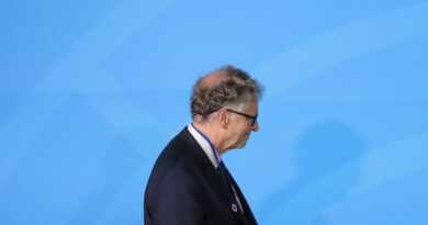 "Los mosquitos no usan mascarillas": Bill Gates vaticina un brote mundial de malaria debido al coronavirus