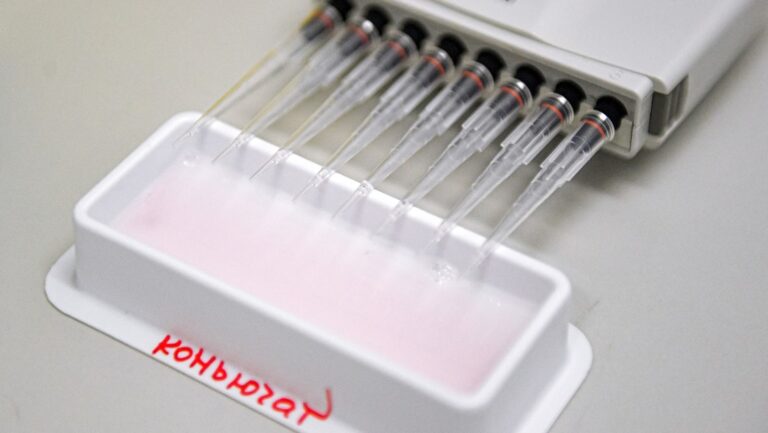 Científicos rusos determinan que la respuesta inmune de Sputnik V es suficiente contra cualquier concentración de coronavirus
