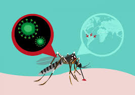 OJO: Hasta el mes pasado, 32 muertes dengue y 22 leptospirosis