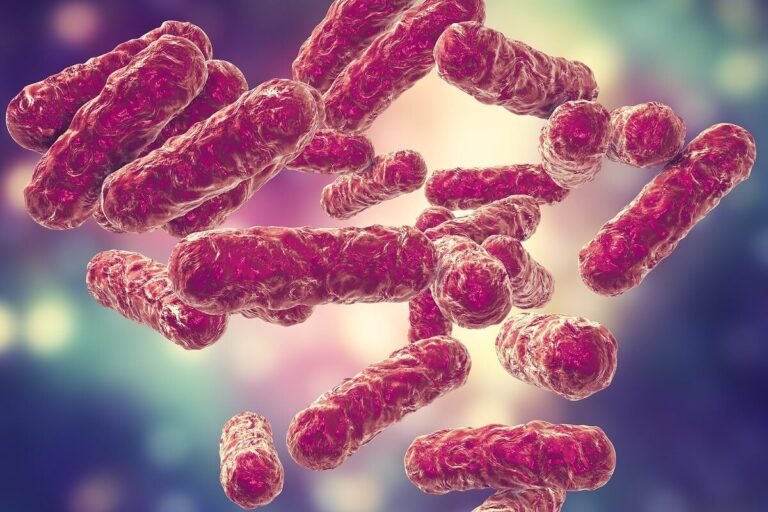 Bacterias que contaminan la carne