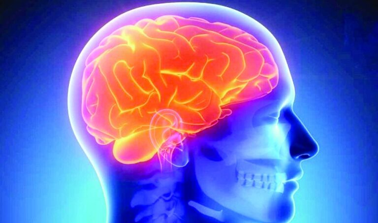 La curación de lesiones cerebrales podría relacionarse con un tipo