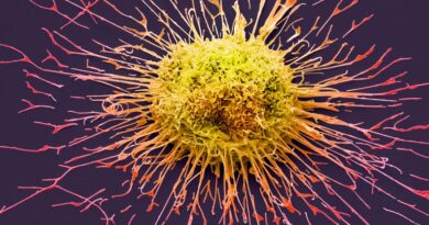 Cómo los científicos derribaron a la “Estrella de la Muerte” del cáncer