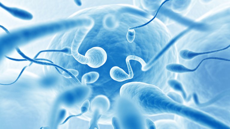 Alerta: qué nos están diciendo nuestros espermatozoides sobre el futuro de la raza humana