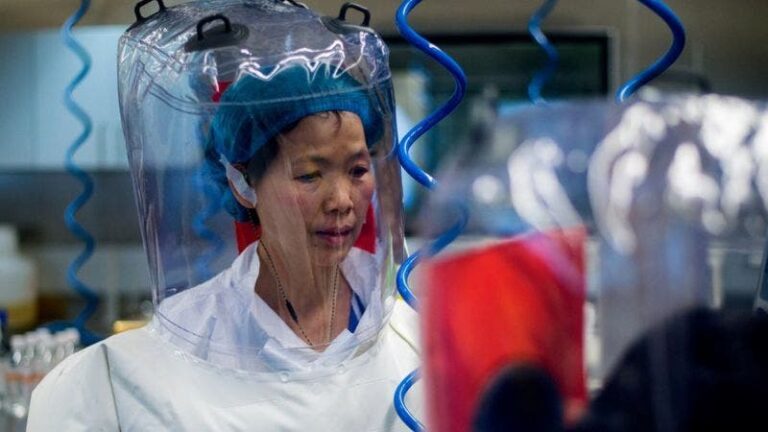 "No tenemos nada que ocultar": la científica estrella de Wuhan