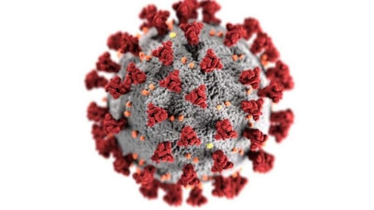 Coronavirus: qué se sabe de la variante de "doble mutación"
