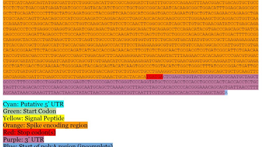 Científicos publican en la web la secuencia de ARN mensajero de la vacuna de Moderna
