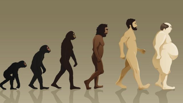 evolución y obesidad
