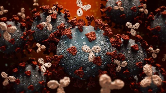 Ilustración de anticuerpos monoclonales atacando a una molécula de coronavirus