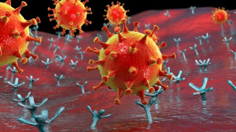 ¿cómo aumenta la capacidad de infección del SARS-CoV-2