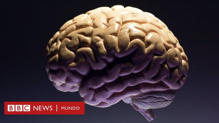 Cómo la menstruación cambia el cerebro de las mujeres (para