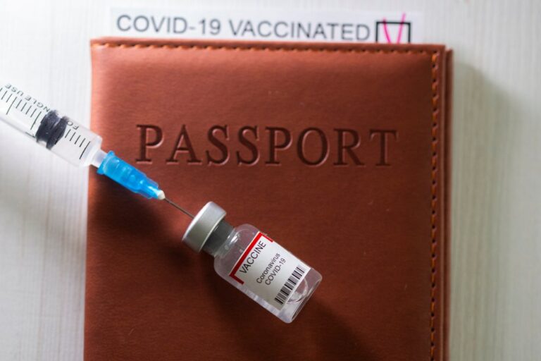 Cuáles son los países que mejor han lidiado con la pandemia de COVID-19 durante 2021