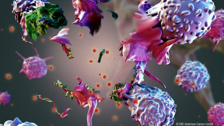 Inmunoterapia para el cáncer: tres tests predictivos ya determinan cuál será útil para cada paciente antes de recibirla