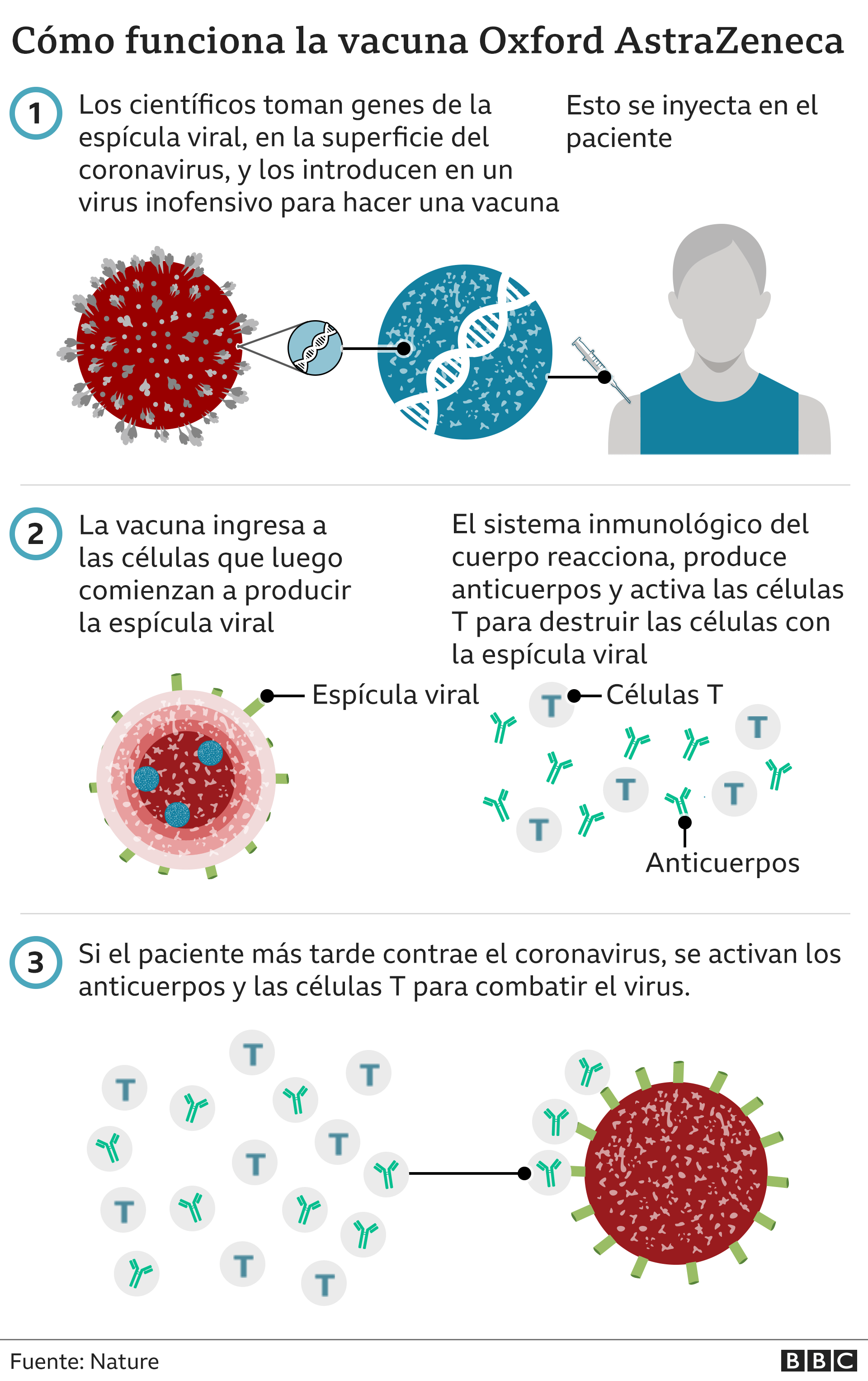 como funciona la vacuna AstraZeneca