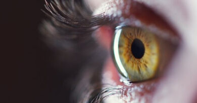 Conceptos generales sobre el desprendimiento de retina