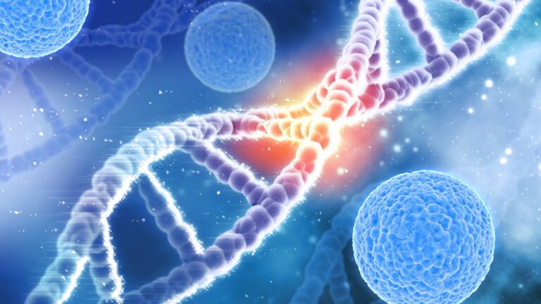 ¿Los seres humanos podrían vivir más de 150 años? La ciencia explora las razones de los límites