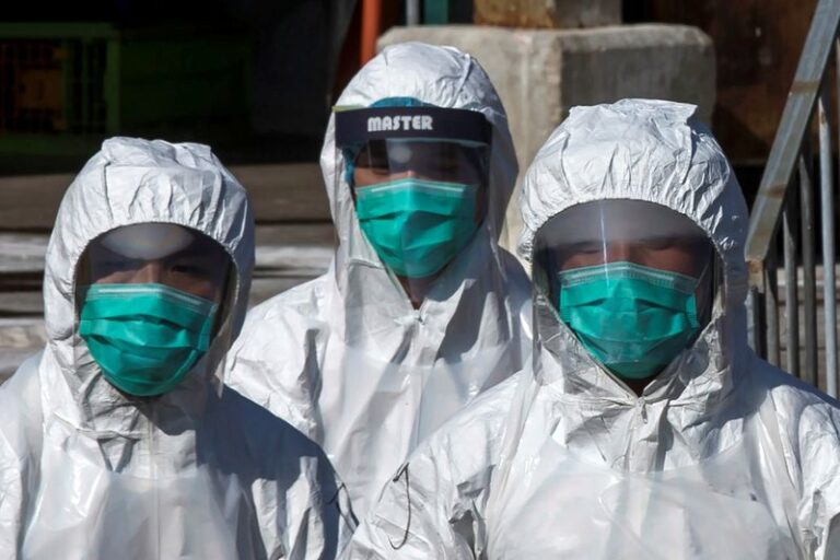 Hasta ahora, bajo riesgo de propagación humana de la gripe aviar H10N3