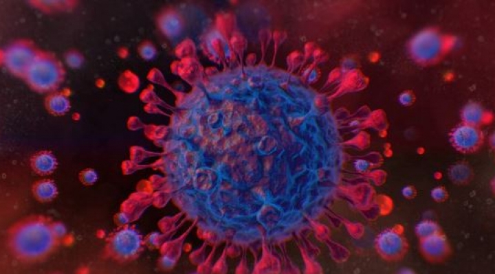 ¿Existen personas con inmunidad natural al coronavirus sin haberse vacunado ni contagiado previamente?